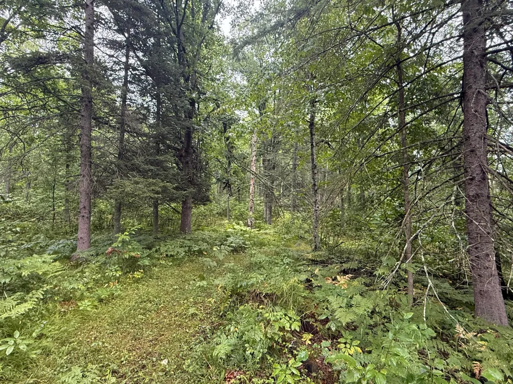 17001 White Spruce Road Finlayson, MN 55735
