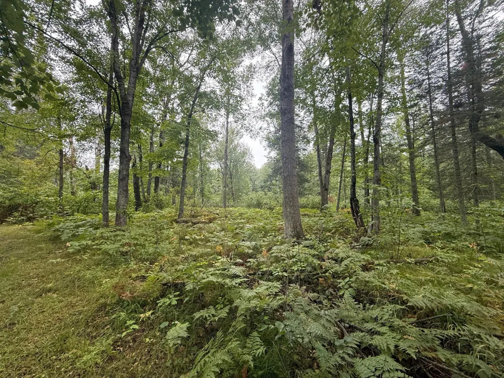 17001 White Spruce Road Finlayson, MN 55735