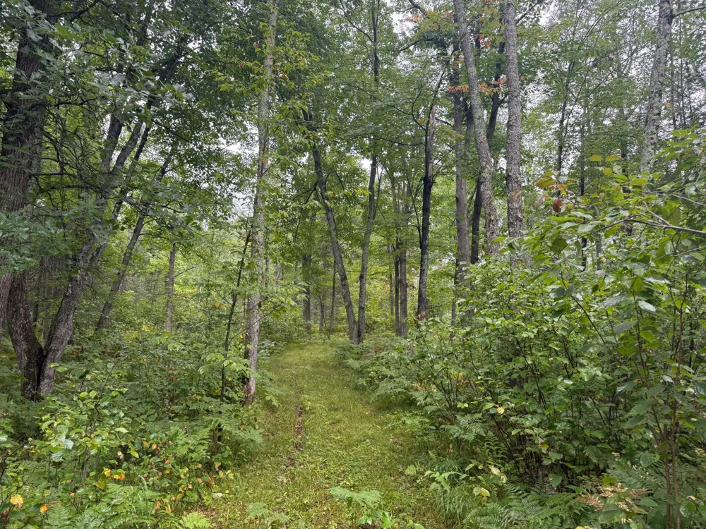 17001 White Spruce Road Finlayson, MN 55735