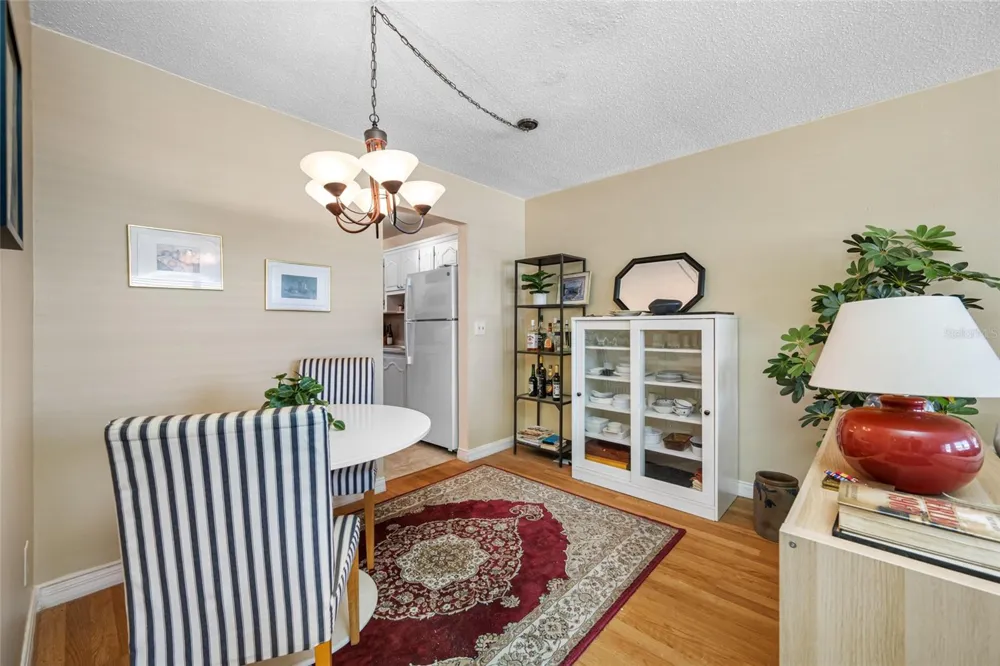 5217 81ST STREET #16 St Petersburg, FL 33709