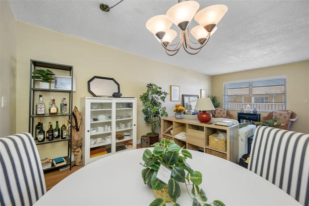 5217 81ST STREET #16 St Petersburg, FL 33709