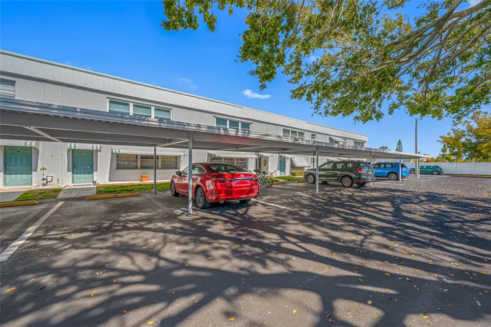 5217 81ST STREET #16 St Petersburg, FL 33709