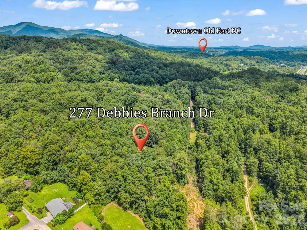 277 Debbies Branch Drive Old Fort, NC 28762