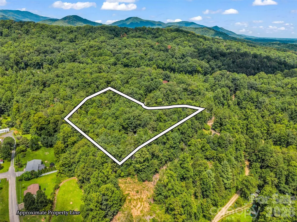 277 Debbies Branch Drive Old Fort, NC 28762