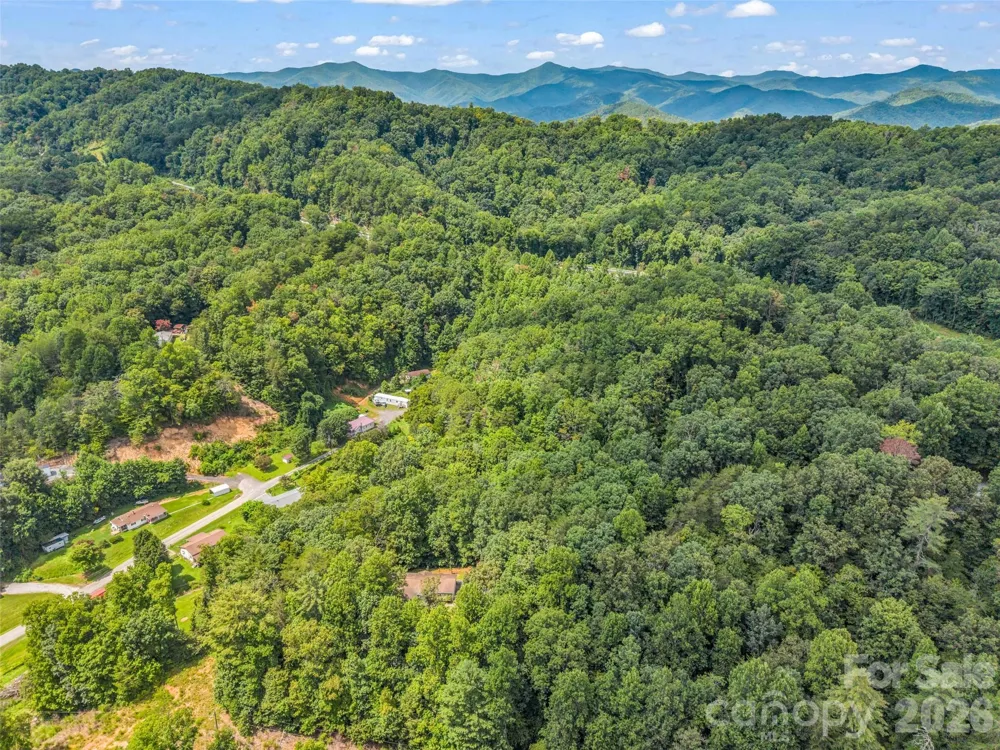 277 Debbies Branch Drive Old Fort, NC 28762