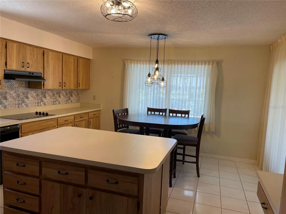 420 S BROCKFIELD DRIVE Sun City Center, FL 33573