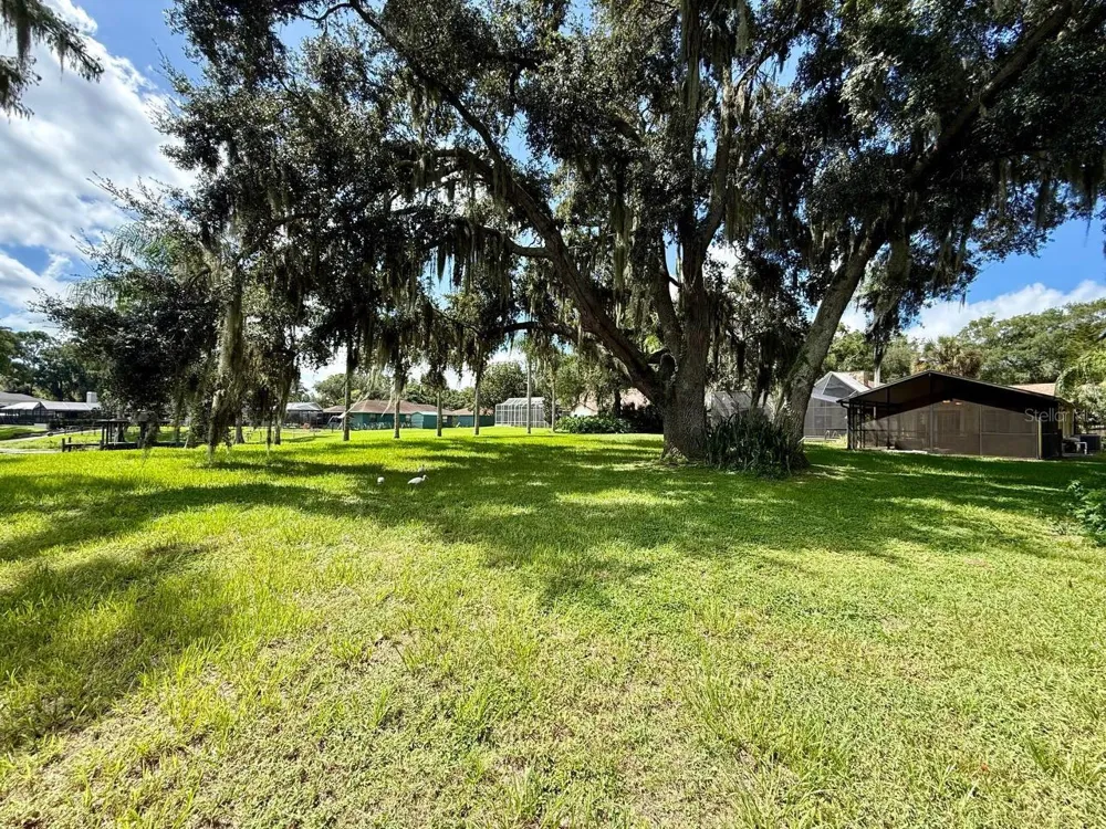 1103 BALLINGER ROAD Lutz, FL 33548