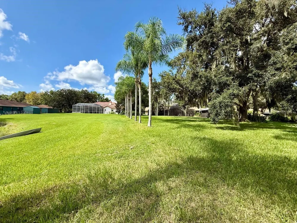 1103 BALLINGER ROAD Lutz, FL 33548