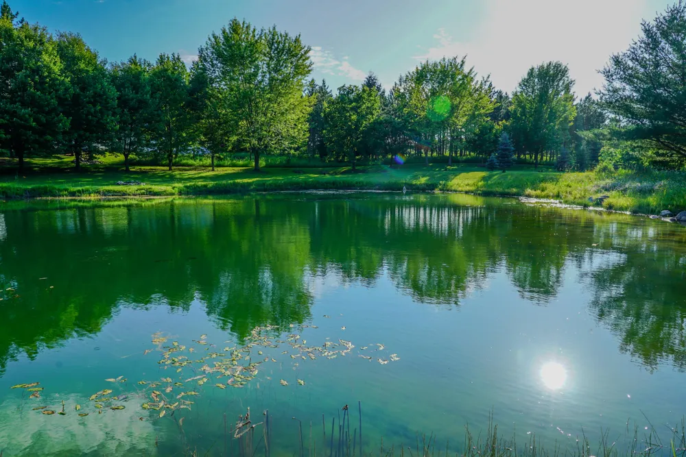 1542 Campbell Road Rose Township, MI 48654