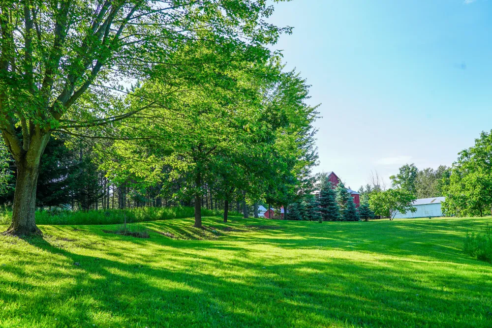 1542 Campbell Road Rose Township, MI 48654
