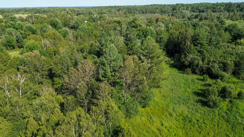 1542 Campbell Road Rose Township, MI 48654