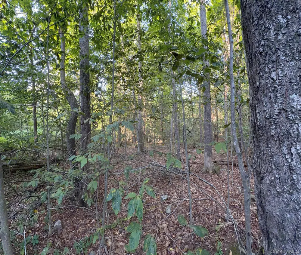 Hidden Court Mount Tremper, NY 12457