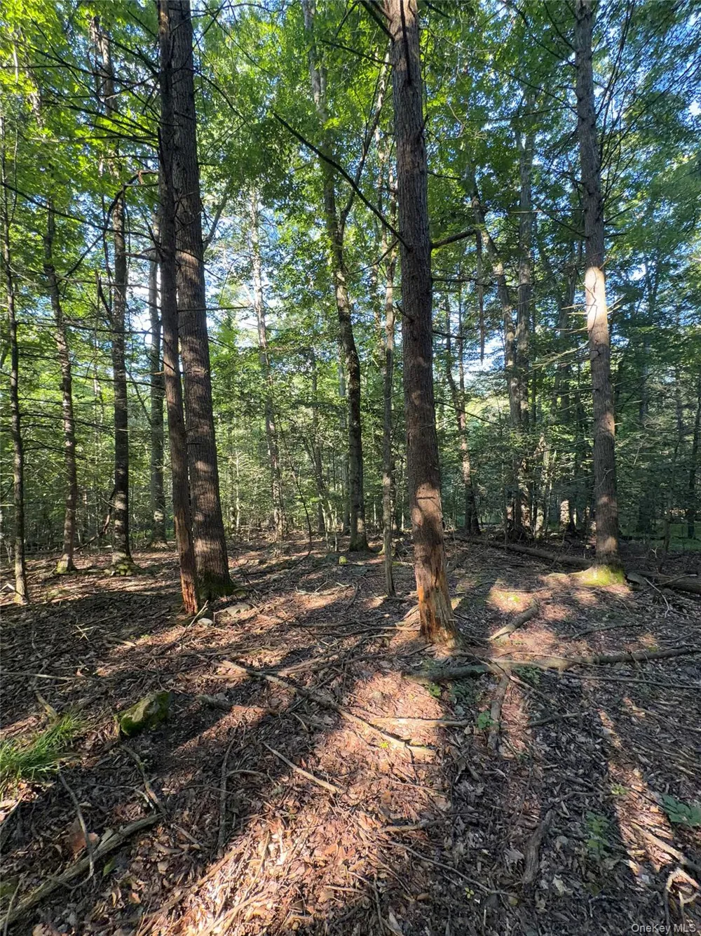 Hidden Court Mount Tremper, NY 12457