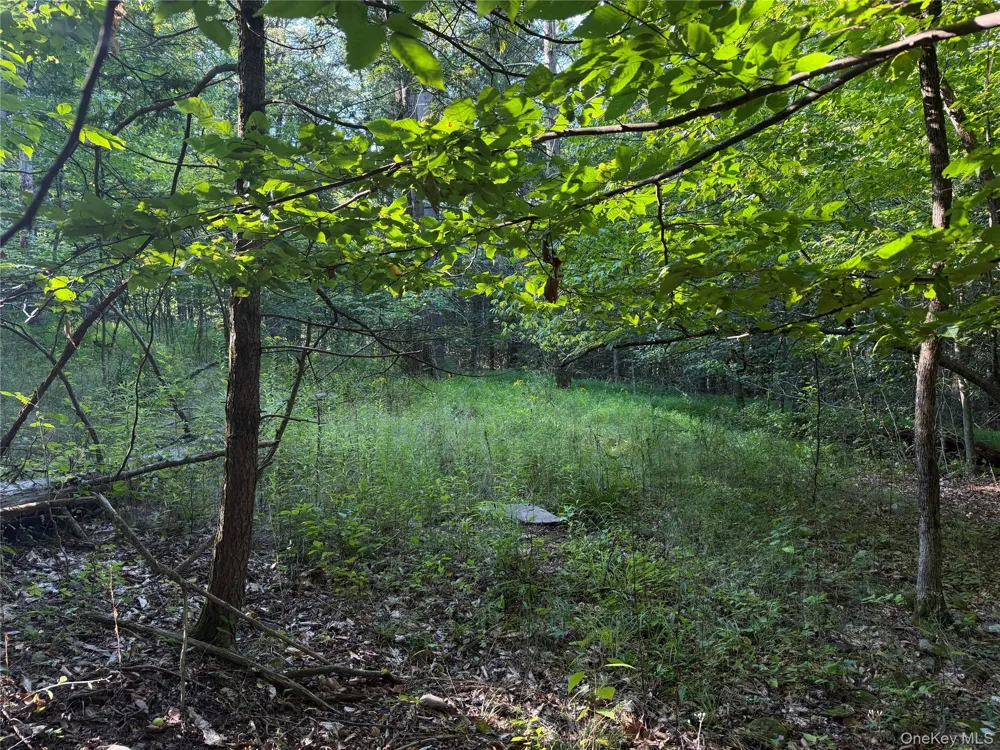 Hidden Court Mount Tremper, NY 12457