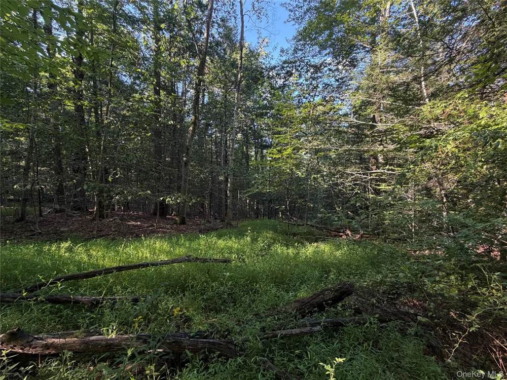 Hidden Court Mount Tremper, NY 12457