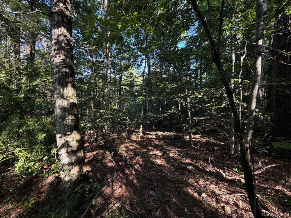 Hidden Court Mount Tremper, NY 12457