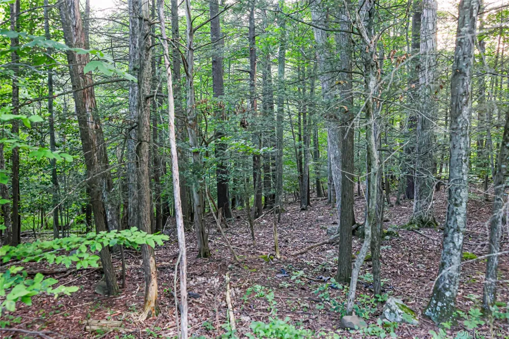 Hidden Court Mount Tremper, NY 12457