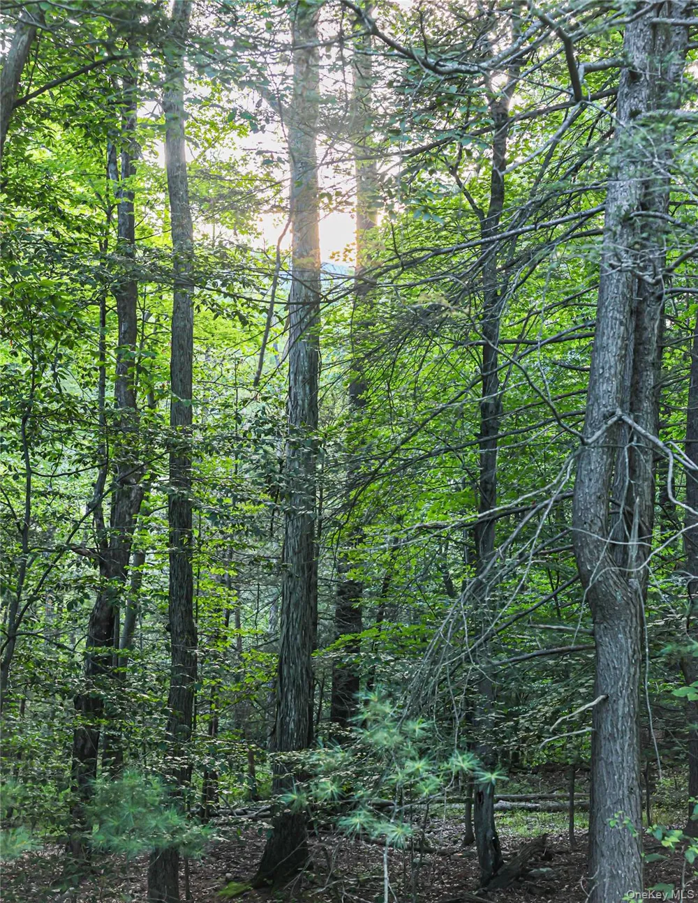 Hidden Court Mount Tremper, NY 12457