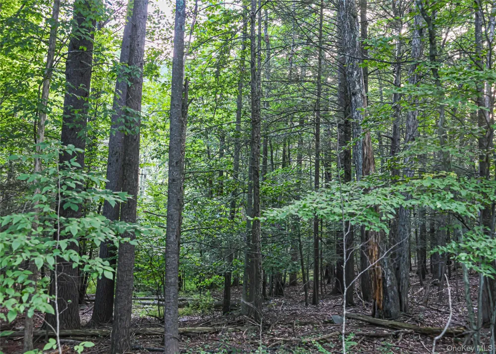 Hidden Court Mount Tremper, NY 12457