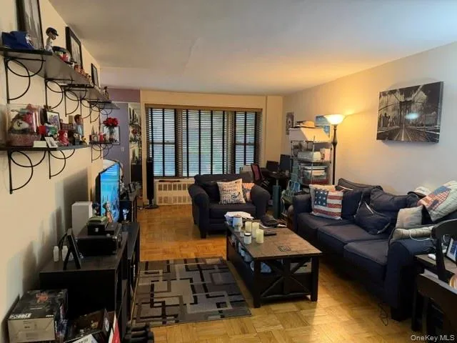 3 Birchwood Court #1A Mineola, NY 11501
