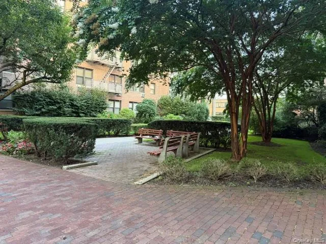 3 Birchwood Court #1A Mineola, NY 11501