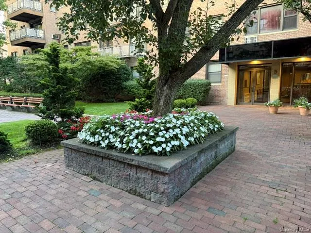 3 Birchwood Court #1A Mineola, NY 11501