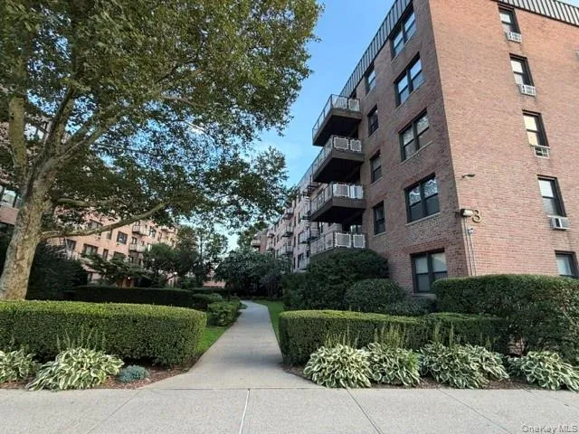 3 Birchwood Court #1A Mineola, NY 11501