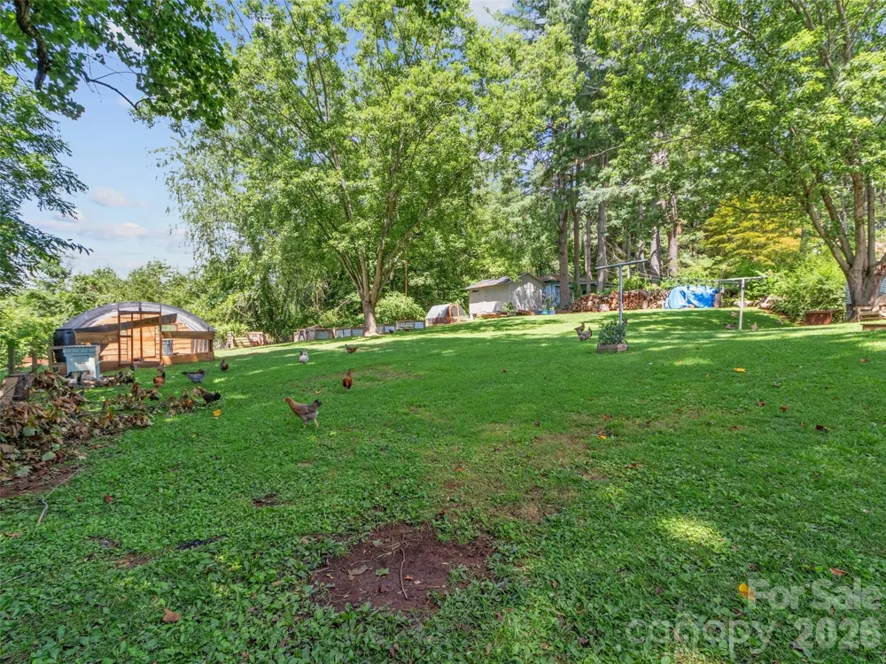 38 Crowell Road Asheville, NC 28806