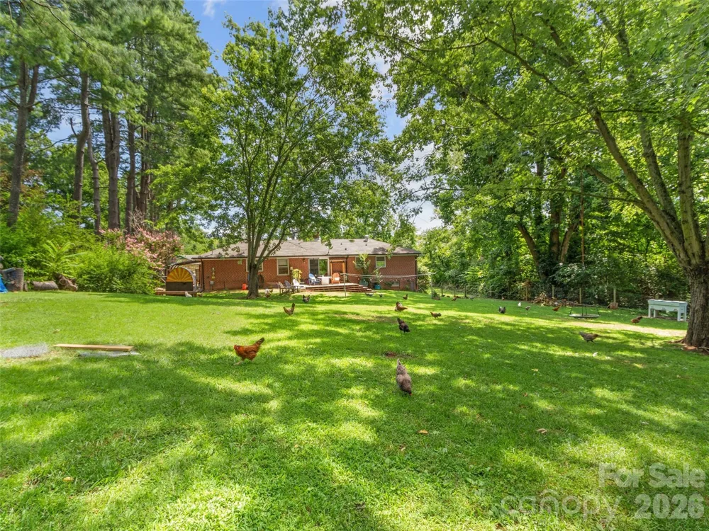 38 Crowell Road Asheville, NC 28806