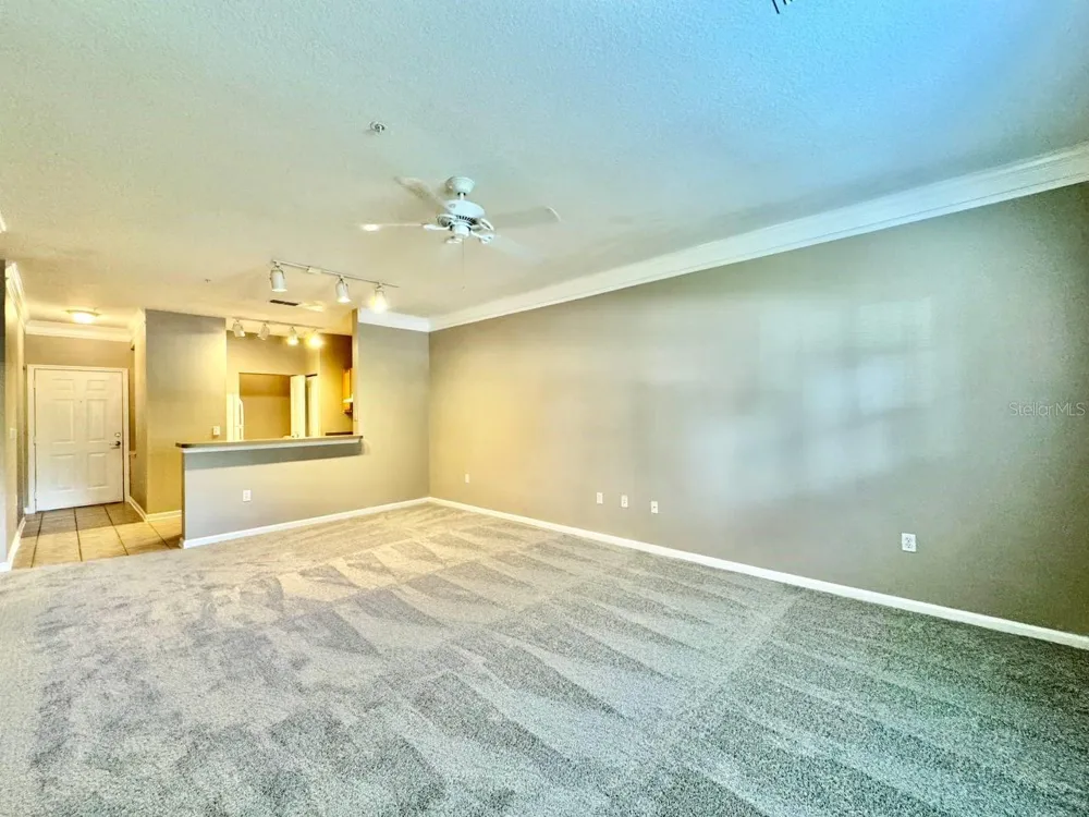 4207 S DALE MABRY HIGHWAY #5108 Tampa, FL 33611