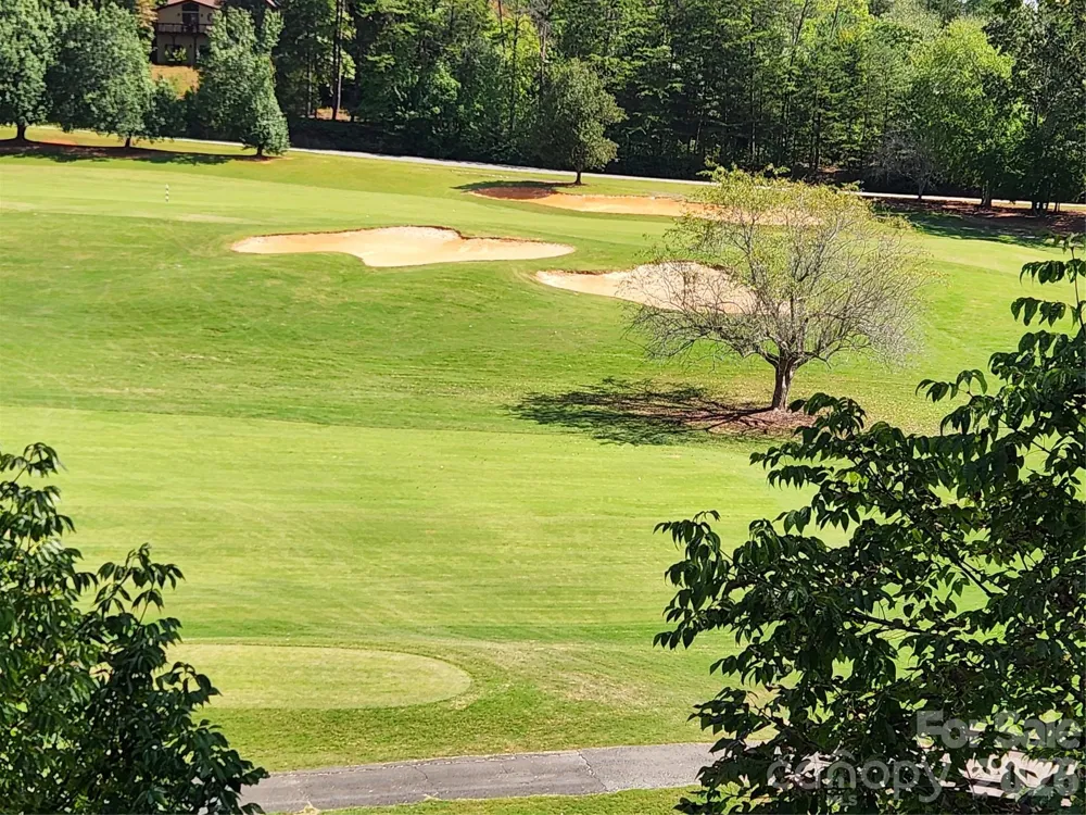 162 Stonecrest Court Lake Lure, NC 28746