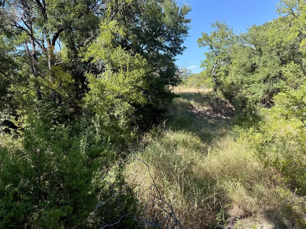3931 COUNTY ROAD 607 Hamilton, TX 76531