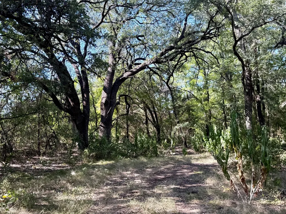 3931 COUNTY ROAD 607 Hamilton, TX 76531