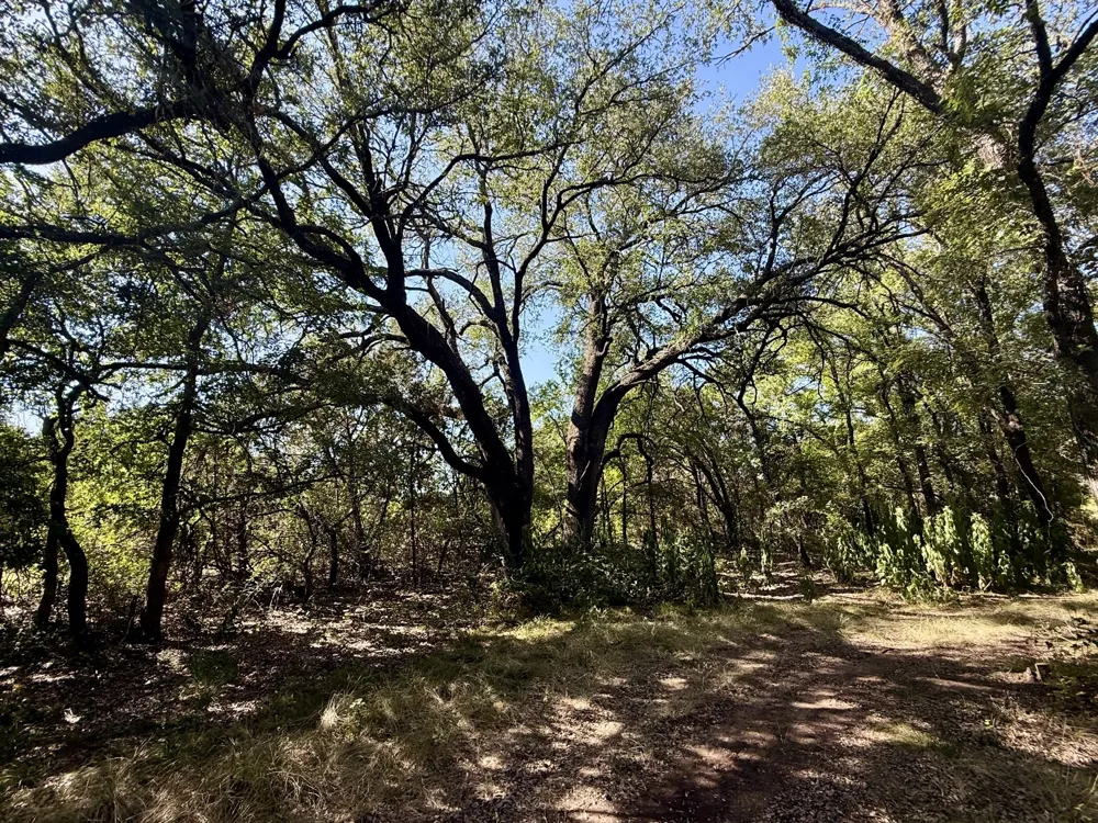 3931 COUNTY ROAD 607 Hamilton, TX 76531