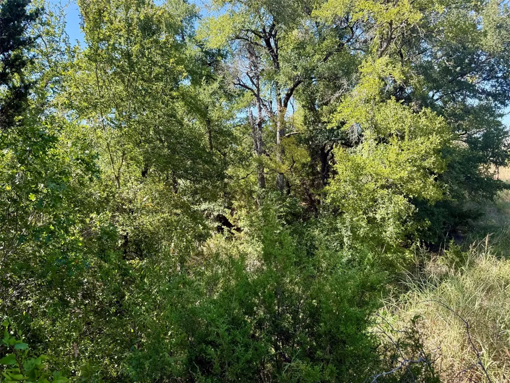 3931 COUNTY ROAD 607 Hamilton, TX 76531