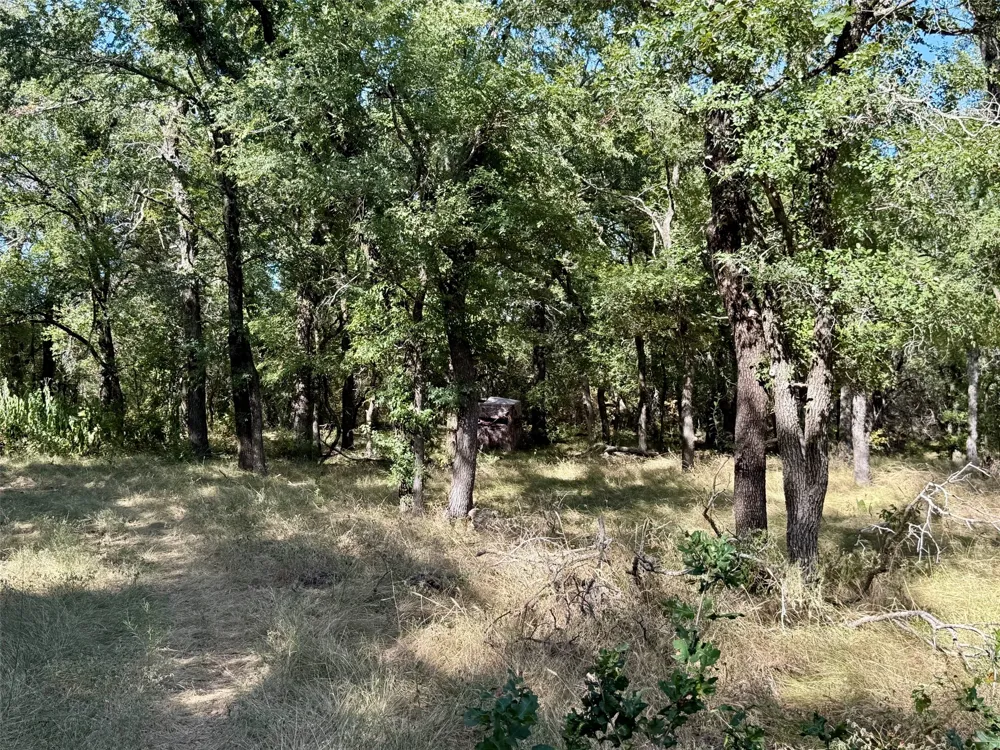 3931 COUNTY ROAD 607 Hamilton, TX 76531