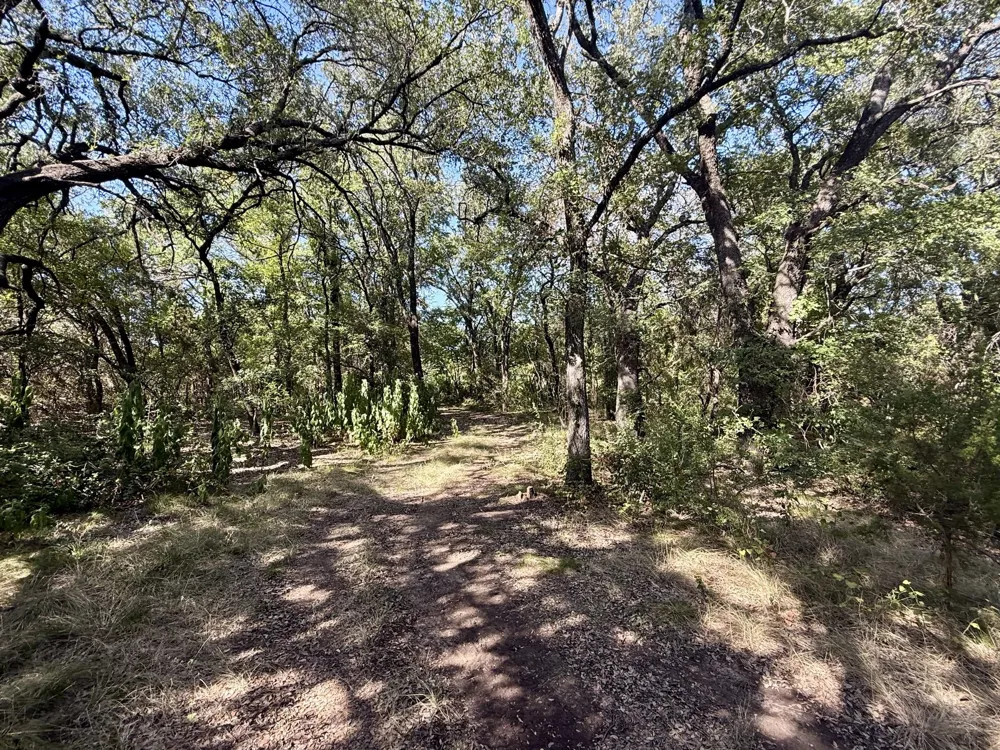 3931 COUNTY ROAD 607 Hamilton, TX 76531