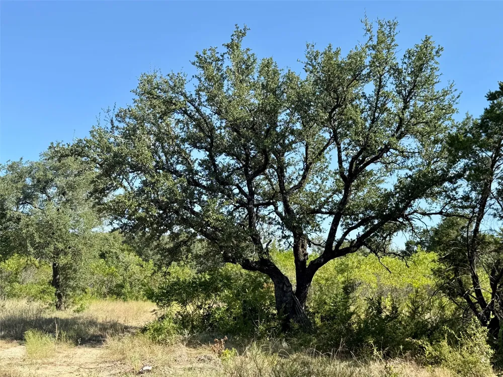 3931 COUNTY ROAD 607 Hamilton, TX 76531