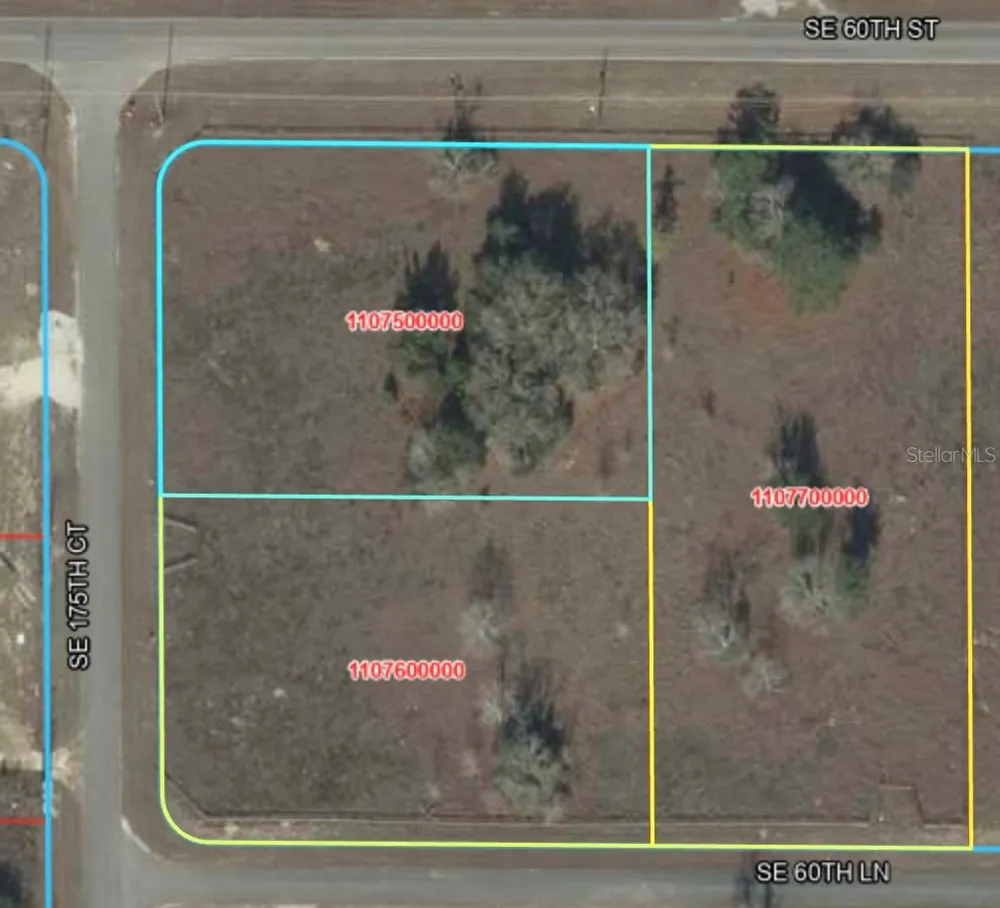 0 SE 175TH COURT Morriston, FL 32668
