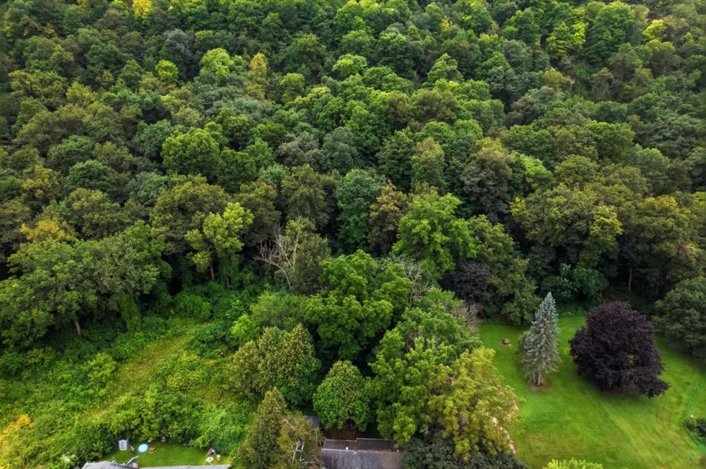 149 E Lake Boulevard Winona, MN 55987