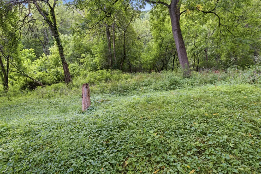 149 E Lake Boulevard Winona, MN 55987