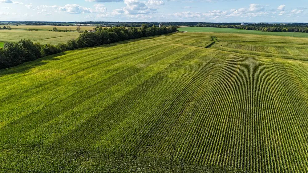 TBD 140th Avenue Glenwood City, WI 54013