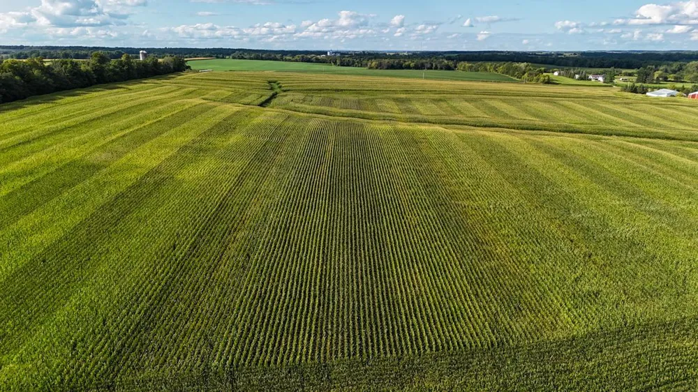 TBD 140th Avenue Glenwood City, WI 54013