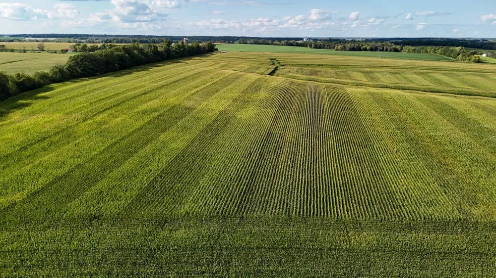 TBD 140th Avenue Glenwood City, WI 54013