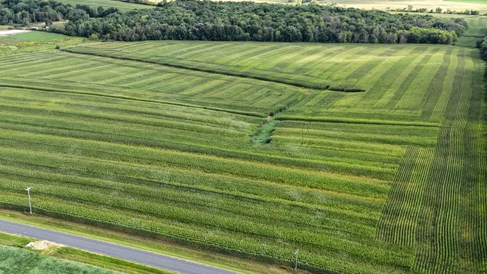 TBD 140th Avenue Glenwood City, WI 54013