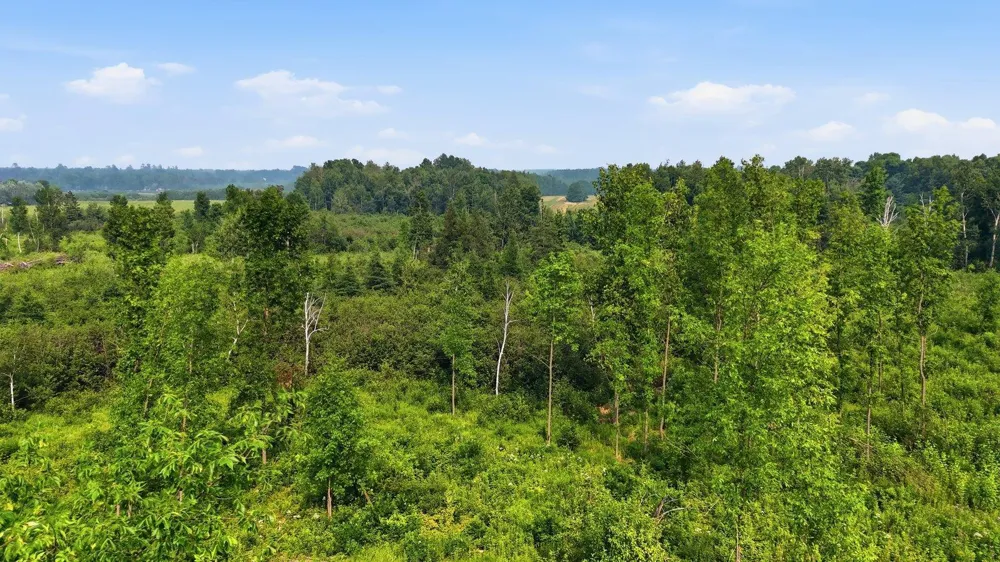 TBD Clark Ave Cromwell, MN 55726