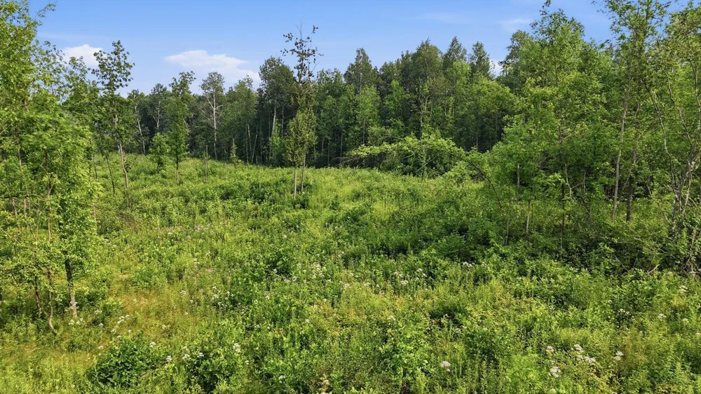 TBD Clark Ave Cromwell, MN 55726