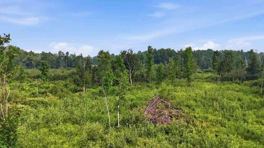 TBD Clark Ave Cromwell, MN 55726