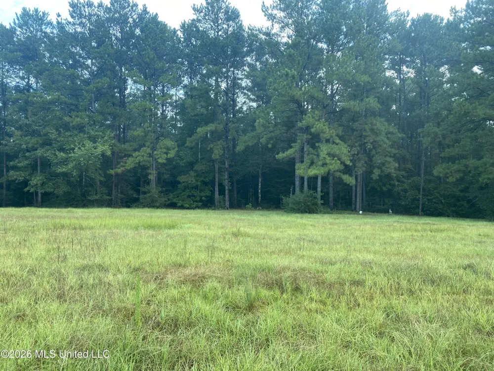 4 E Bond Road Wiggins, MS 39577