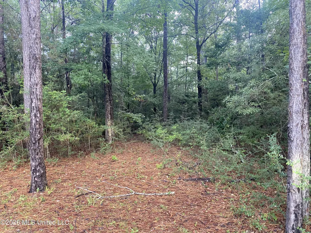 4 E Bond Road Wiggins, MS 39577